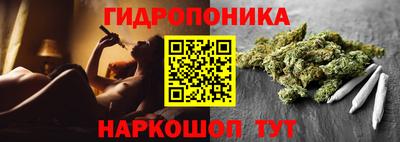 шишки Будённовск