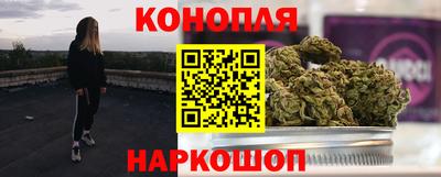 шишки Будённовск