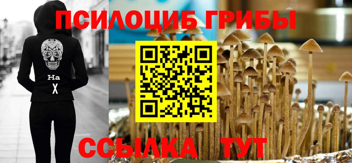 Псилоцибиновые грибы мицелий Сарапул