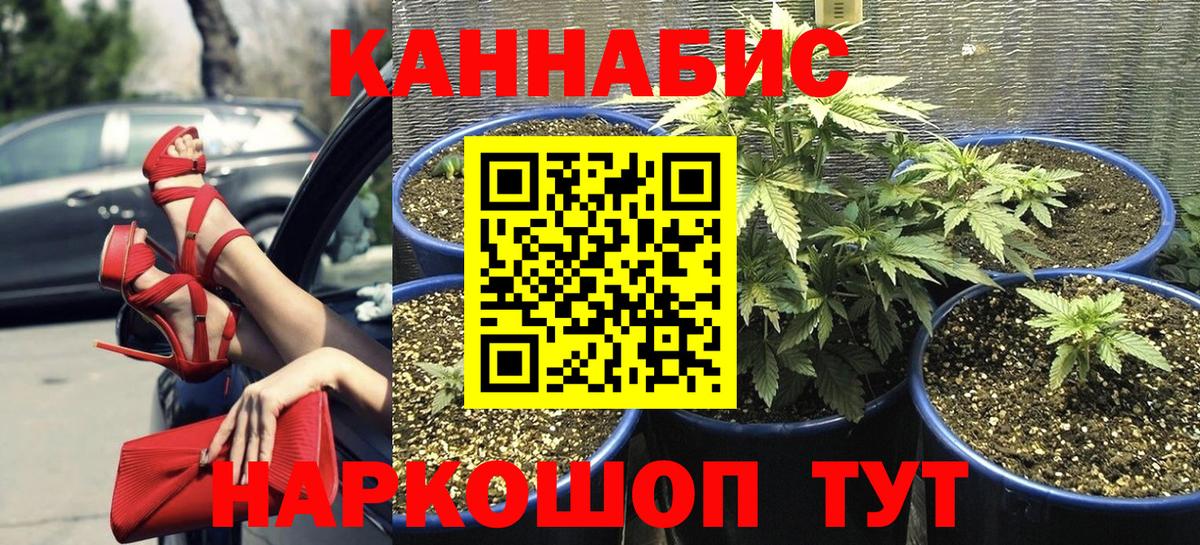 Сарапул  Каннабис семена  Бошки Шишки VHQ  Вход с VPN  Канабис THC 21% 
